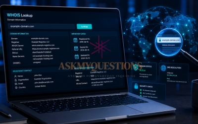 How to Check a Domain Owner with WHOIS